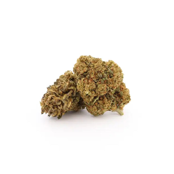Cheese CBD