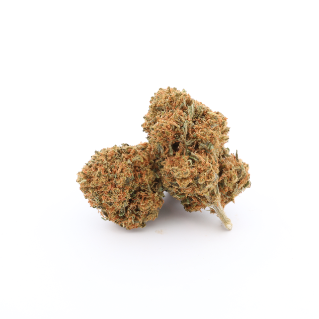 Chocolope CBD