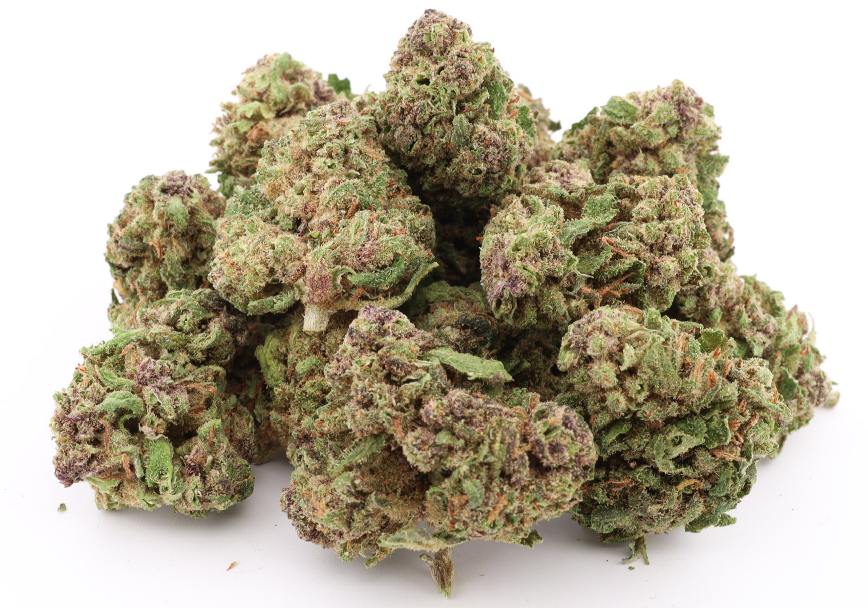 Small Saphire Kush