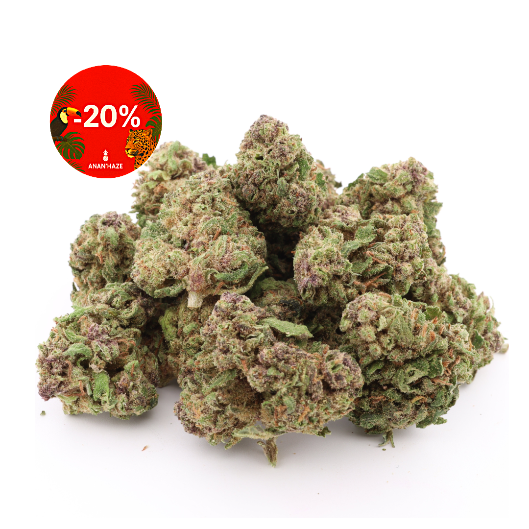 Small Saphire Kush