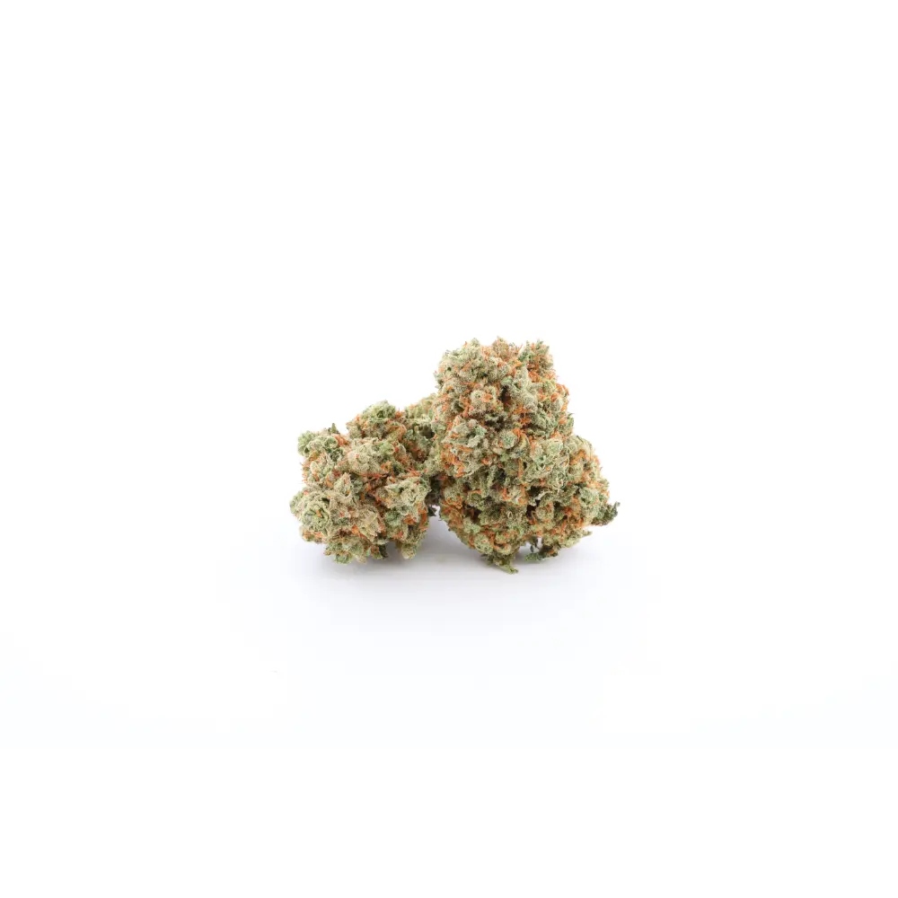 White Noise CBD